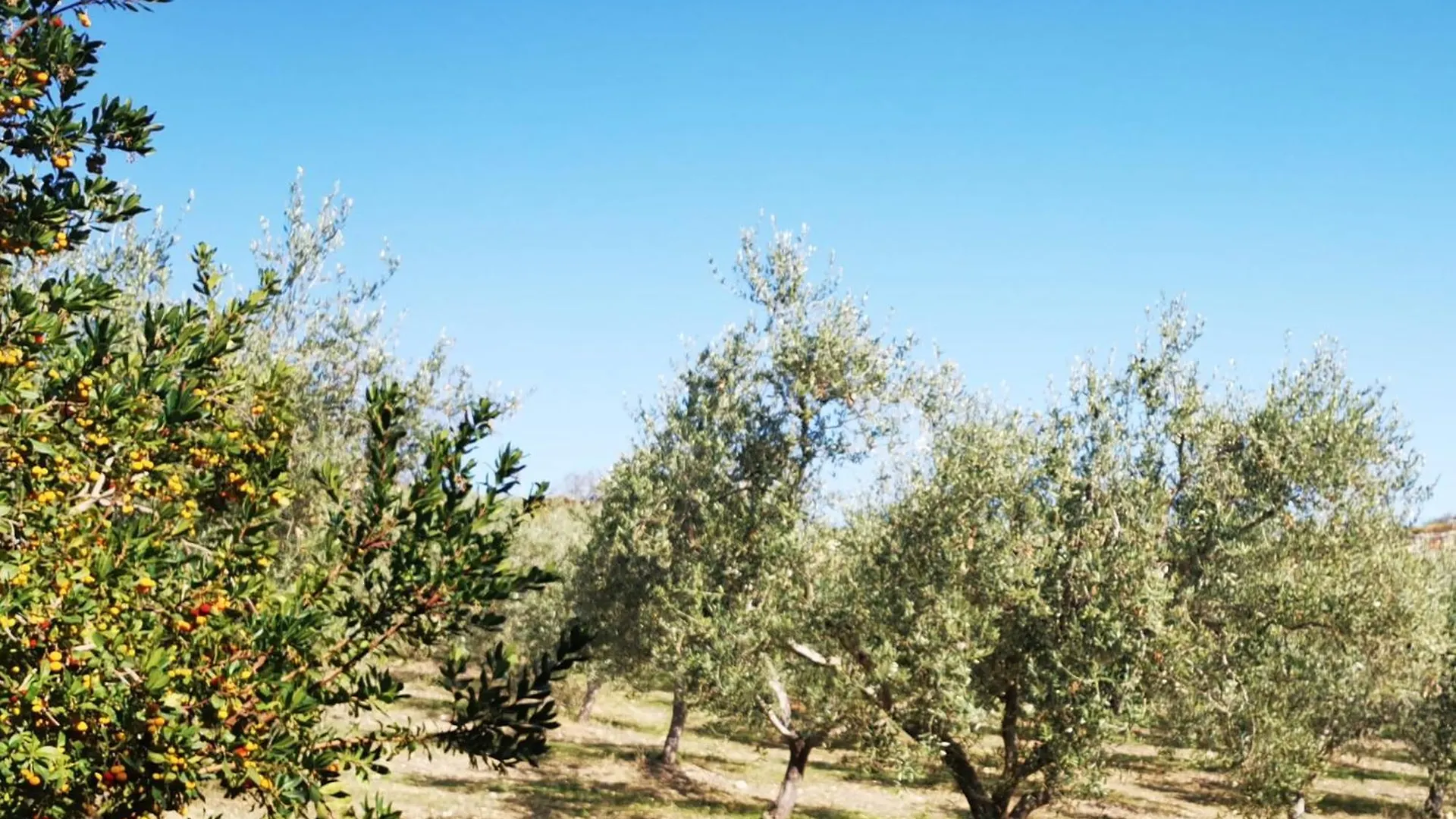 Villa Alessi - Dimora Storica Racalmuto Country house